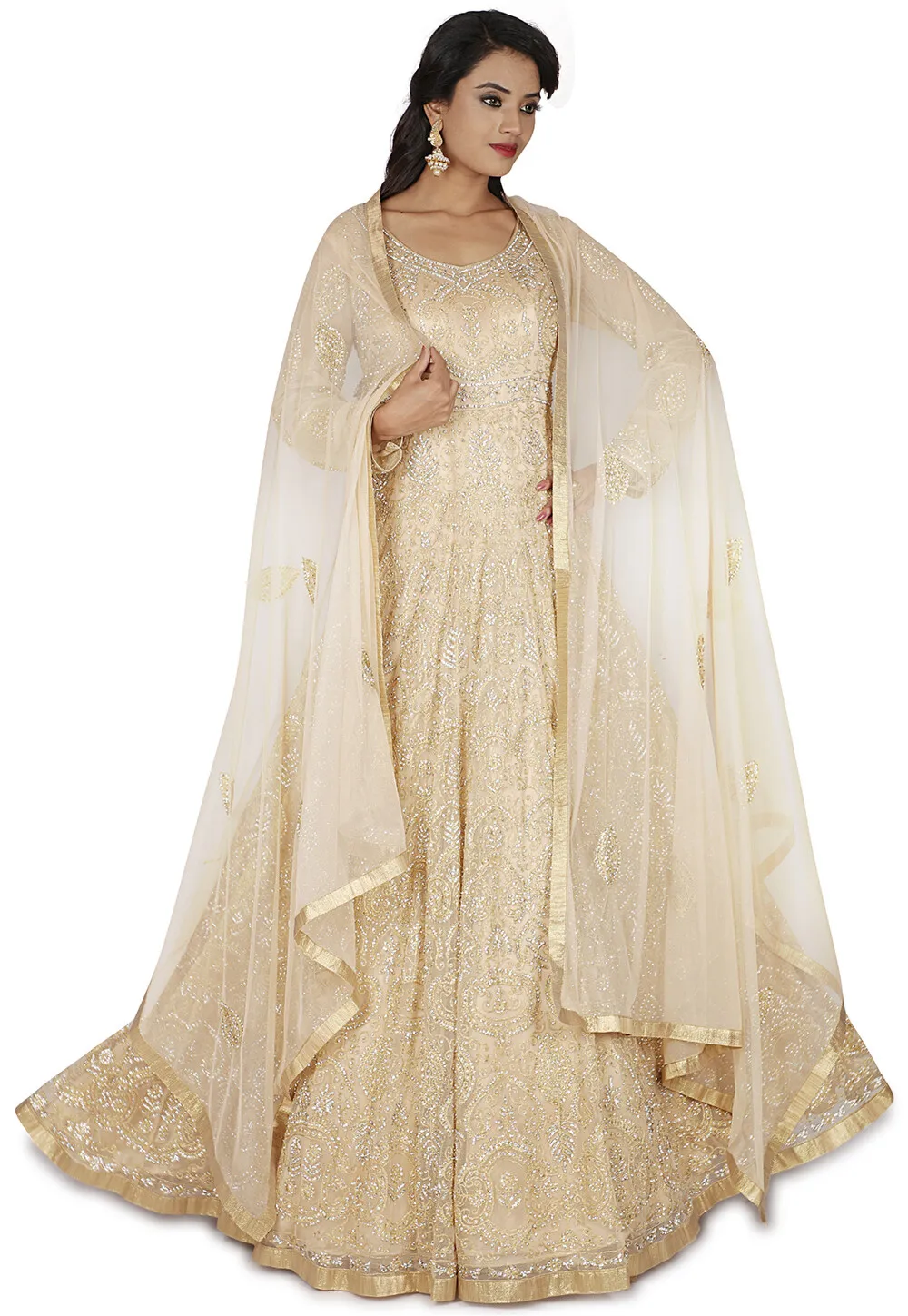 Aari Embroidered Net Gawn in Light Beige