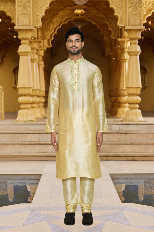 Men's Fawn Embroidered Kurta Churidar 