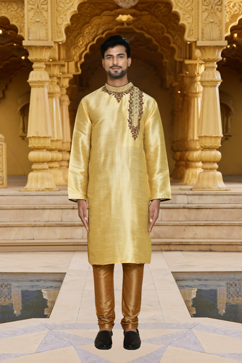 Men's Fawn Embroidered Kurta Churidar 